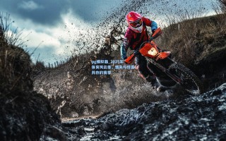 pg模拟器_2025年体育风云录，憾失与惊喜共存的赛季