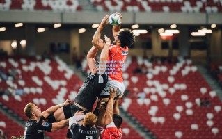 pg电子模拟器|齐沃解析阿森纳欧冠征程，小组赛表现合乎预期，淘汰赛状态决定最终命运